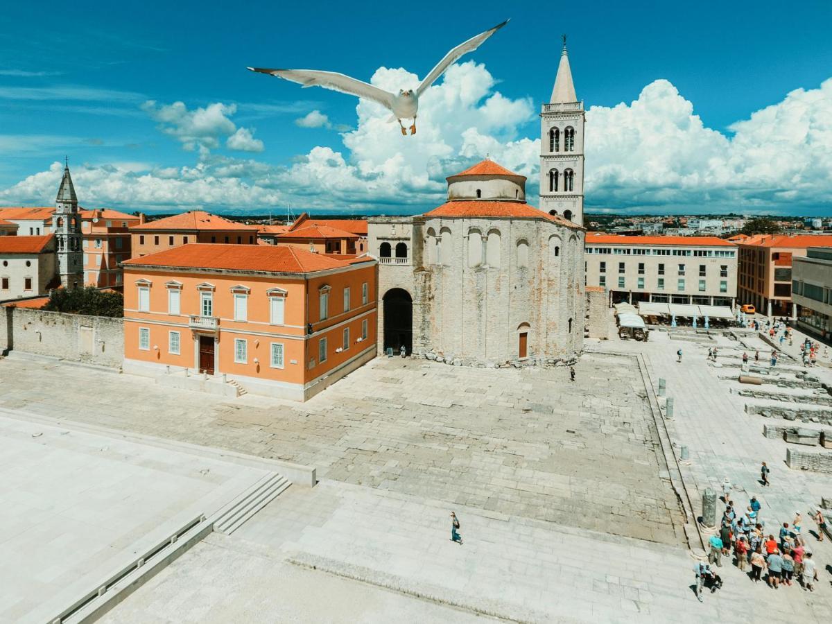 Caisa- Luxury Apartment 20 M From The Sea Zadar Exterior photo